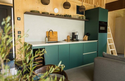 Appelscha House | Holiday Home in Drenthe With Private Pool