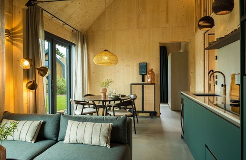 Appelscha House | Holiday Home in Drenthe With Private Pool