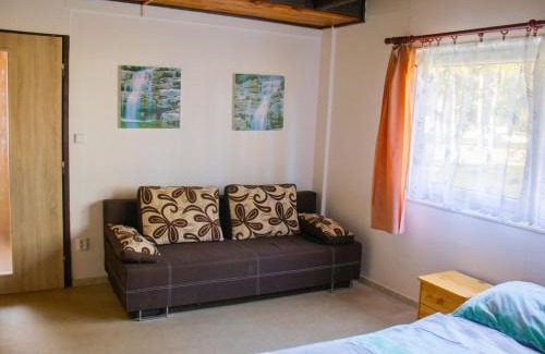 Hradec Kralove House | Holiday Home Kemp Stříbrný rybník-13 by Interhome