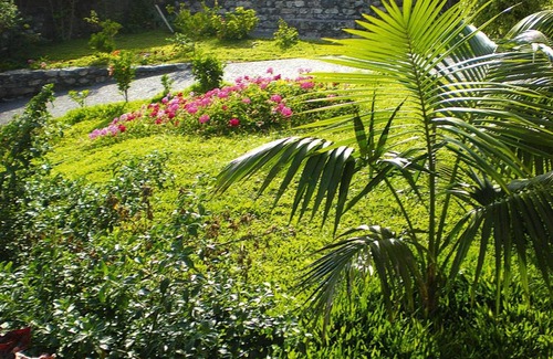 Tabua House | Holiday Home Ribeira Brava - FNC01007-F