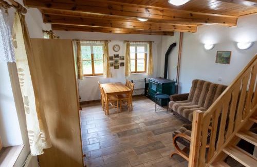 Dolni Vidim House | Holiday Home U skály by Interhome