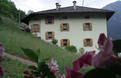 Canal San Bovo Apartment | Holiday in the mountains: a breath in nature!
