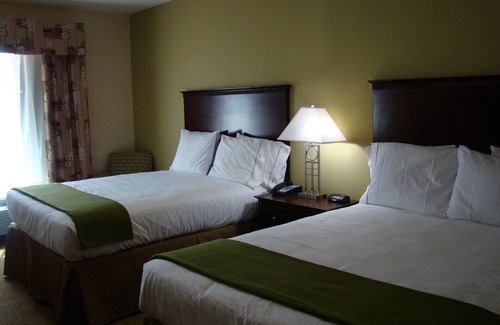 Tokio Hotel | Holiday Inn Express Hotel & Suites Brownfield by IHG