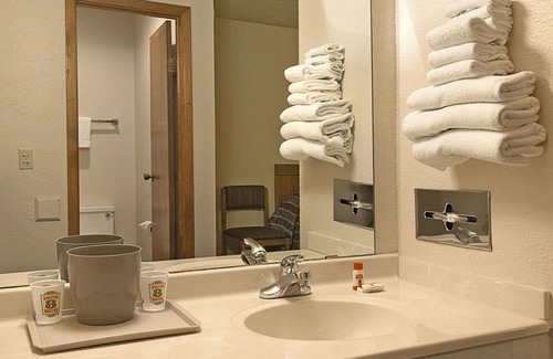 Tokio Hotel | Holiday Inn Express Hotel & Suites Brownfield by IHG