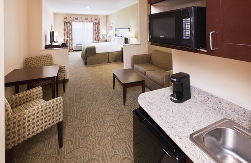 Tokio Hotel | Holiday Inn Express Hotel & Suites Brownfield by IHG