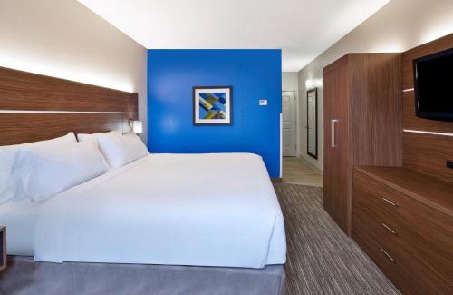 Alcoa Hotel | Holiday Inn Express Hotel & Suites Alcoa Knoxville Airport by IHG