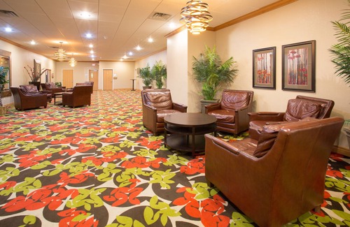 Lexington Hotel | Holiday Inn Express & Suites Lexington by IHG