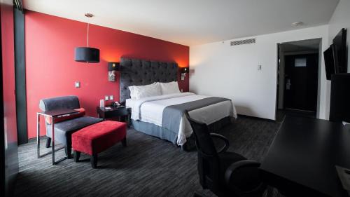 Metepec Hotel | Holiday Inn Express Toluca Galerias Metepec by IHG