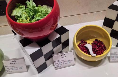 Yanta Qu Hotel | Holiday Inn Express Xi'an Qujiang Center by IHG