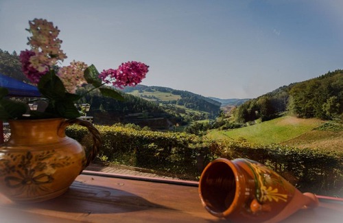 Mittelheubronn Apartment | Holidays in the Black Forest on Belchen