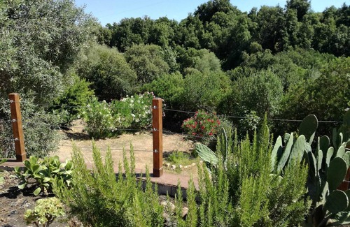 Bortigiadas House | Holidays in the countryside of Sardinia