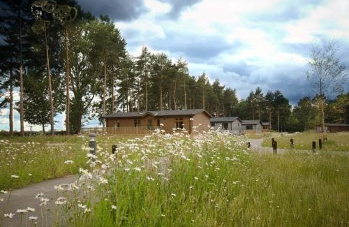Ryther Cabin | Hollicarrs - White Rose Lodge