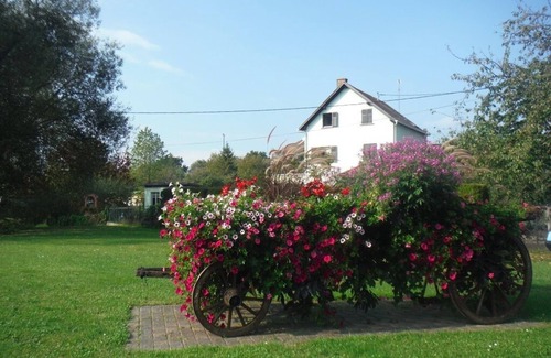 Wittisheim House | Holly welcomes you in a good mood with a pot of friendship