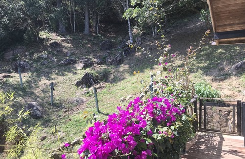 Sambaqui House | Home View a Paradise just a few steps from the beach🙏🏻