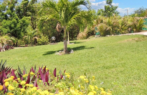 Malendure Apartment | Homerez - Apartment in Bouillante