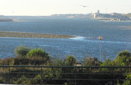 Fao Apartment | Homerez - Beautiful appartement for 4 ppl. with balcony at Fão