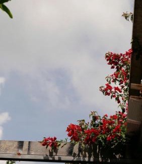 Tay Ninh Hotel | Homestay Mai Ngọc Tây Ninh