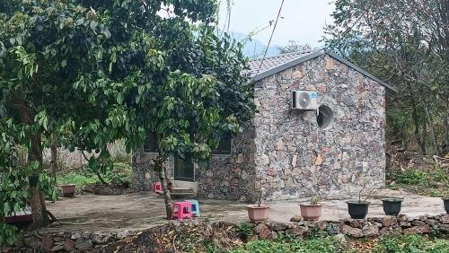 Vi Xuyen Other | Homestay Minh Toan Hostel and Tours