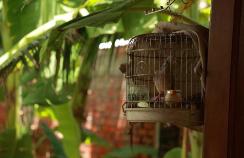 Cai Rang Bed & Breakfast | Homestay Nhà Của Gió