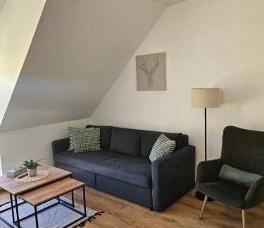Bela pod Pradedem Apartment | Horský apartmán MIKI