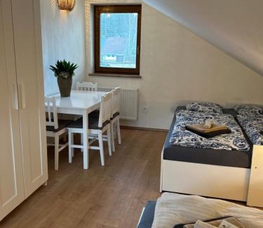 Svinna Villa | Horský domek se zahradou na Javorné u Železné Rudy