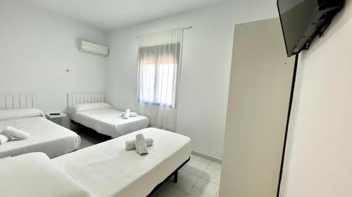 La Victoria House | Hostal Carlos III
