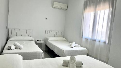 La Victoria House | Hostal Carlos III