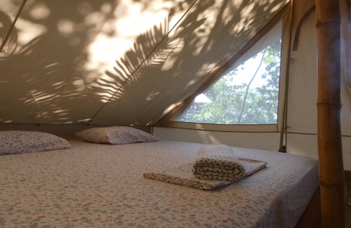 San Francisco de Coyote Bed & Breakfast | Hostel & Camping Alouatta