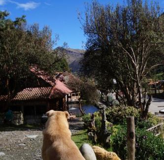 Cuenca Hotel | Hostería Cabañas del Pescador