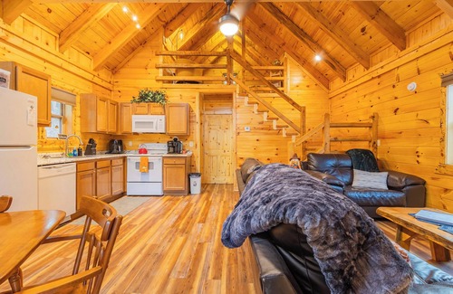 Primrose Cabin | Hot Tub -Pet Friendly -Arcade & Corn Hole-Dock Access w/a Canoe & Paddle Board