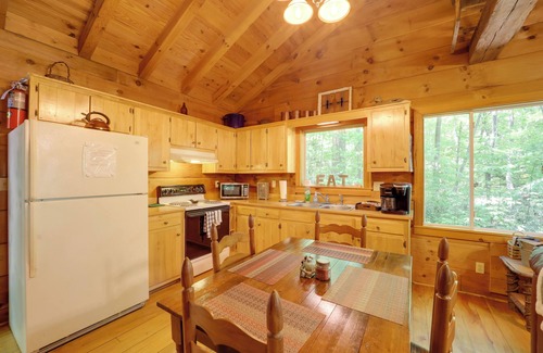 Vein Mountain Cabin | Hot Tub & Trail Access: Relaxing Marion Cabin