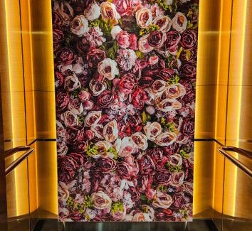 Geylang Hotel | Hotel 81 Palace - NEWLY RENOVATED