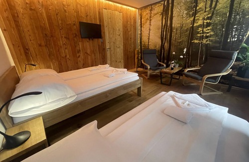 Zelezna Ruda Hotel | Hotel Bohemia