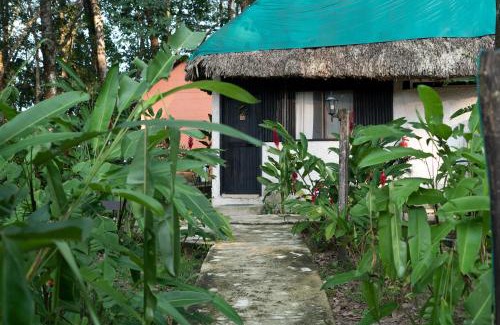 Palenque Cabin | Hotel Cabañas Safari