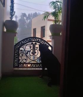 Lohaghat Hotel | HOTEL Cedar Heritage
