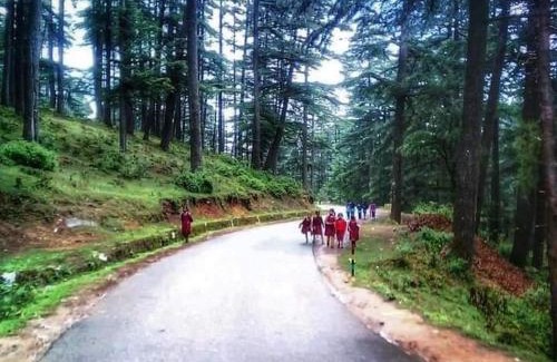 Lohaghat Hotel | HOTEL Cedar Heritage