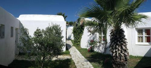 Soliman Hotel | Hotel El Andalous