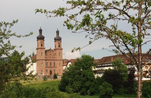 St. Peter im Schwarzwald Hotel | Hotel Hirschen