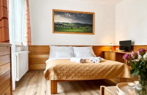 Vlachovice Hotel | Hotel Horník