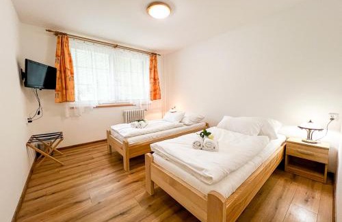 Vlachovice Hotel | Hotel Horník
