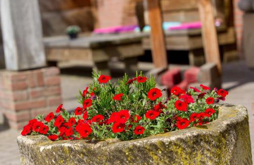 Langelo Hotel | Hotel & Lodges Erve Bruggert