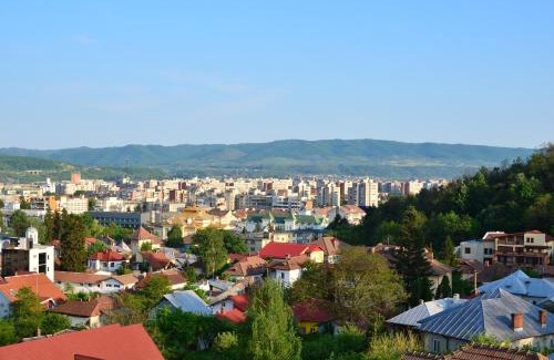 Ramnicu Valcea Hotel | Hotel Miraj