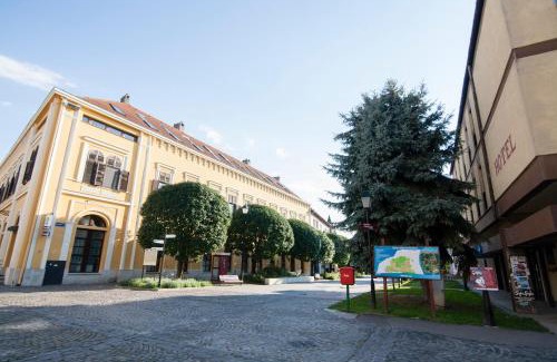 Szigetvar Hotel | Hotel Oroszlán Szigetvár