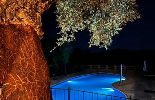 Montanchez Hotel | Hotel Resort Hípico El Hinojal