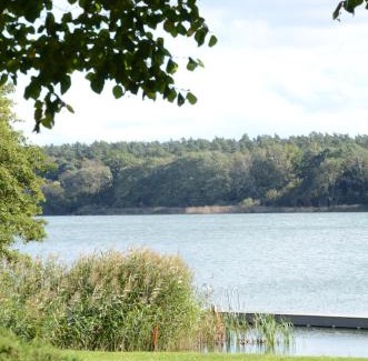 Locknitz Hotel | Hotel & Restaurant Haus am See
