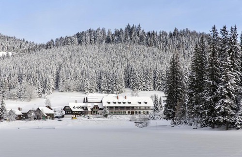 Fladnitz an der Teichalm Hotel | Hotel Teichwirt