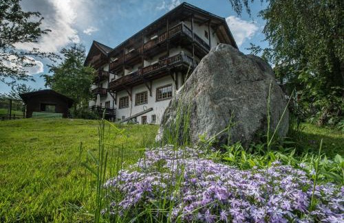 Tavanasa Hotel | Hotel Ucliva