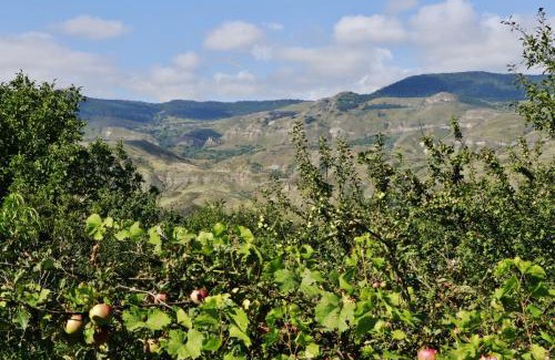 Aspindza House | Hotel Vardzia K A L A