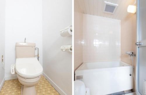 Kamiina-gun Hotel | Hotel WWJ - Vacation STAY 82100v