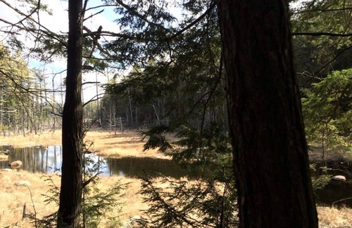 Schroon Lake House | House ∙ 1 bedroom ∙ 2 guests